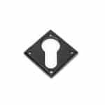 Black Diamond Euro Escutcheon 2