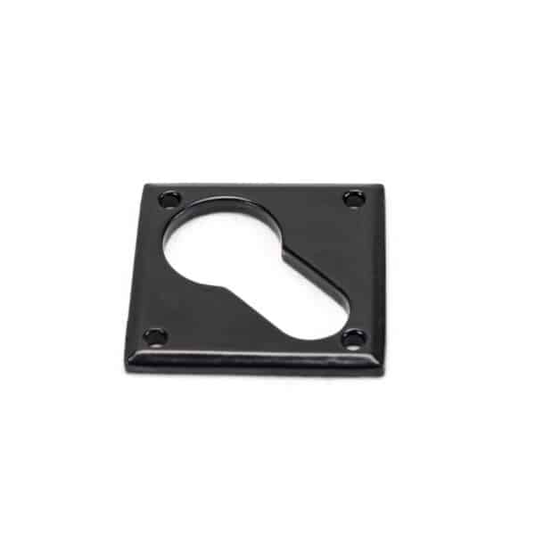 Black Diamond Euro Escutcheon 1