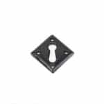 Black Diamond Escutcheon 2