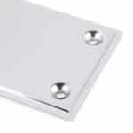 Polished Chrome 425mm Art Deco Fingerplate 2