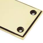 Aged Brass 300mm Art Deco Fingerplate 2