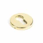 Aged Brass 52mm Regency Concealed Escutcheon 1