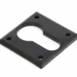 Black Avon Euro Escutcheon 1