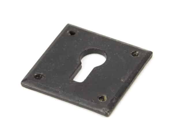 External Beeswax Avon Escutcheon 1