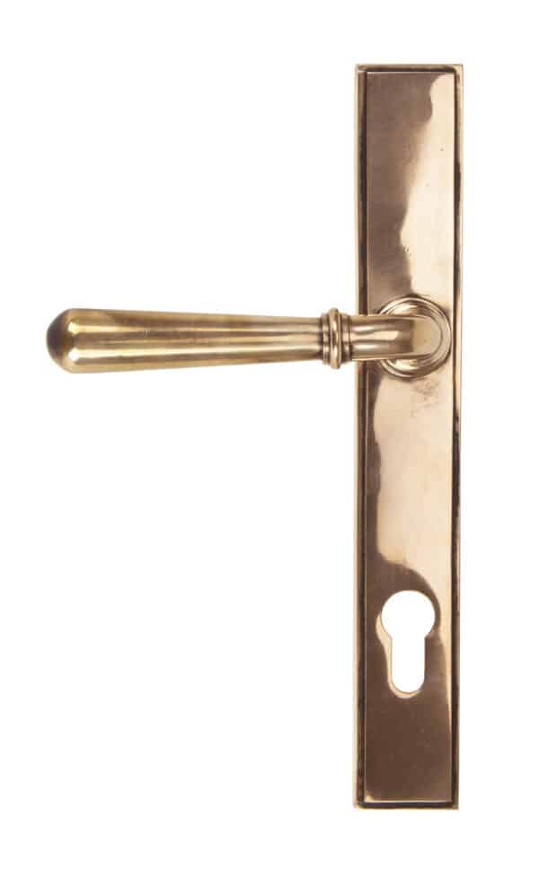 Polished Bronze Newbury Slimline Lever Espag. Lock 2