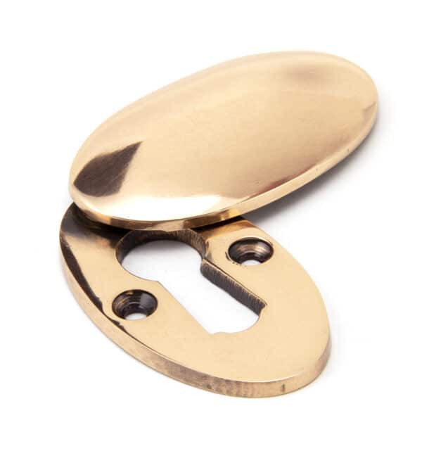 Polished Bronze Oval Escutcheon & Cover 2