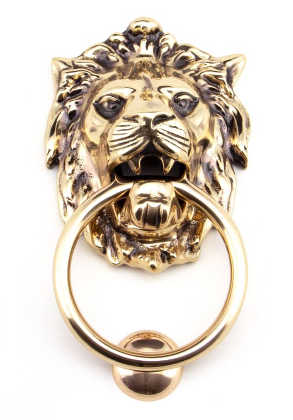 Polished Bronze Lion Head Door Knocker 2