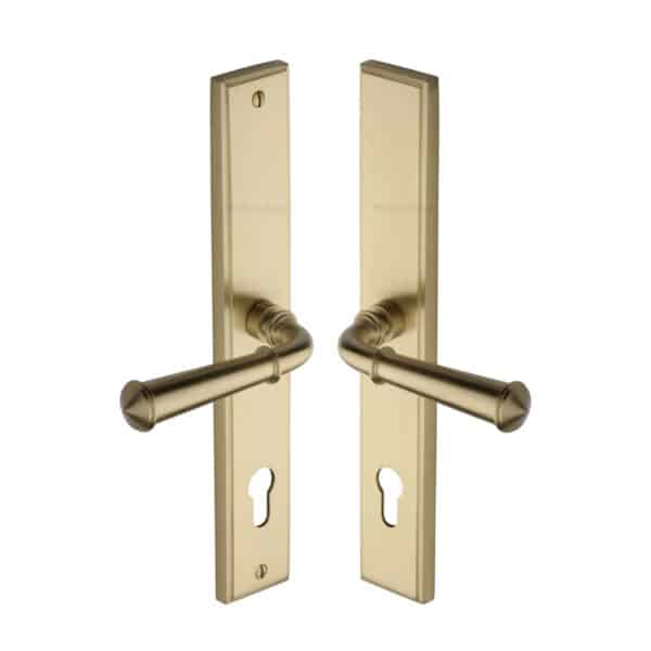 Project Hardware Door Handle for Euro Profile Plate Luca Design Polished Brass Finish 1