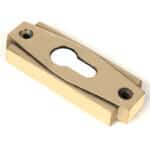 Aged Brass Art Deco Euro Escutcheon (Set) 1